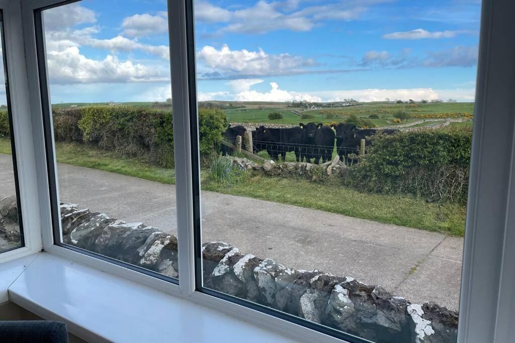 Galloway Farmstay Broughton Newton Stewart Kültér fotó